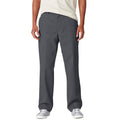 Dickies Regular Twill Skate Pants - Charcoal 2025