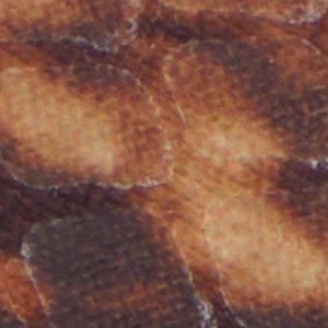 Esmara