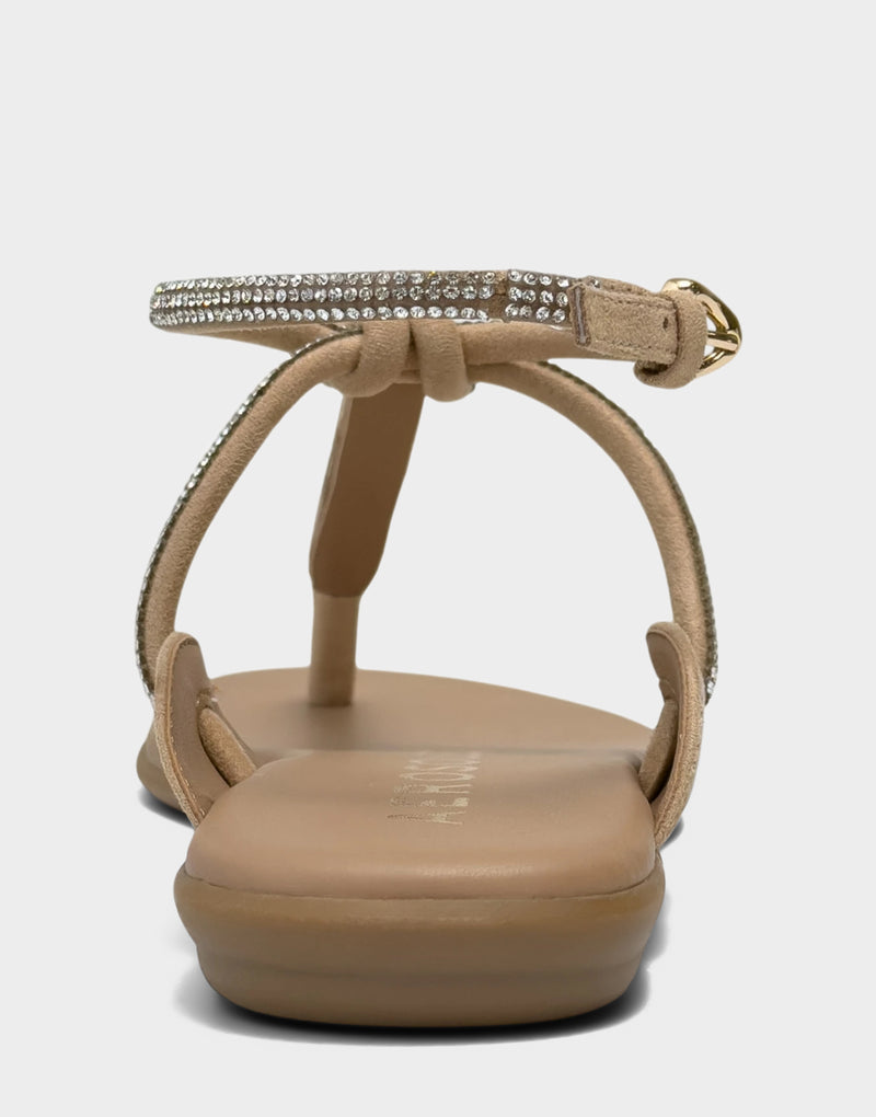 Gioiosa