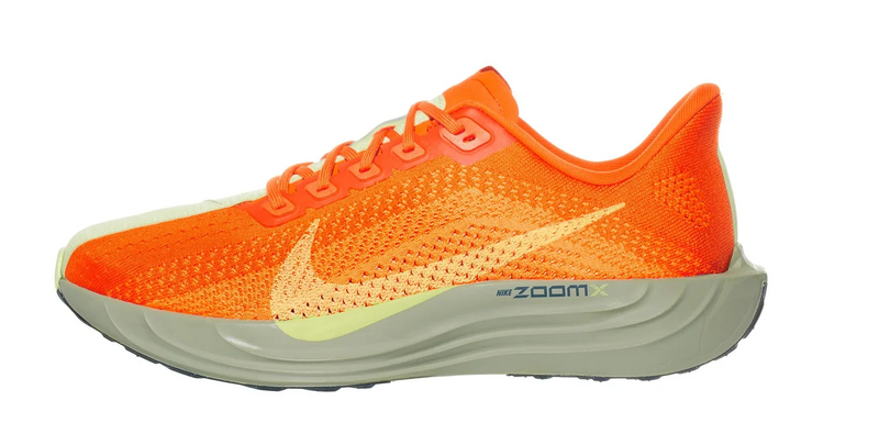 Men's Pegasus Plus