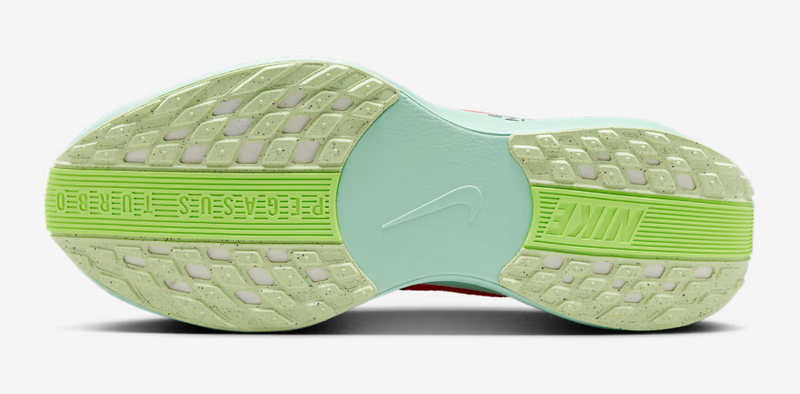 Men's Pegasus Plus