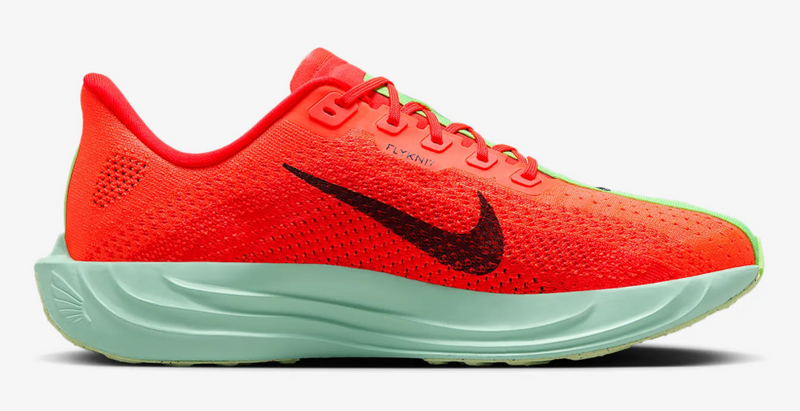 Men's Pegasus Plus