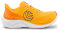 Men's Topo Cyclone 3