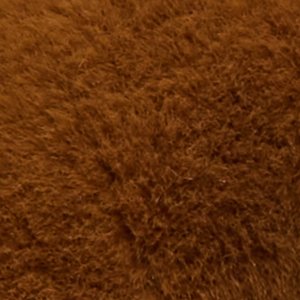 Teddybag